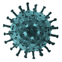 COVID virus model